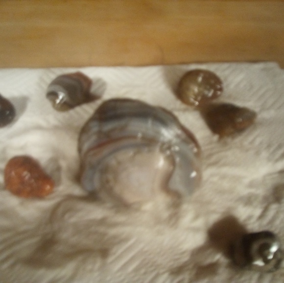 Meet your Posher, Jon - Picture 1 of 1